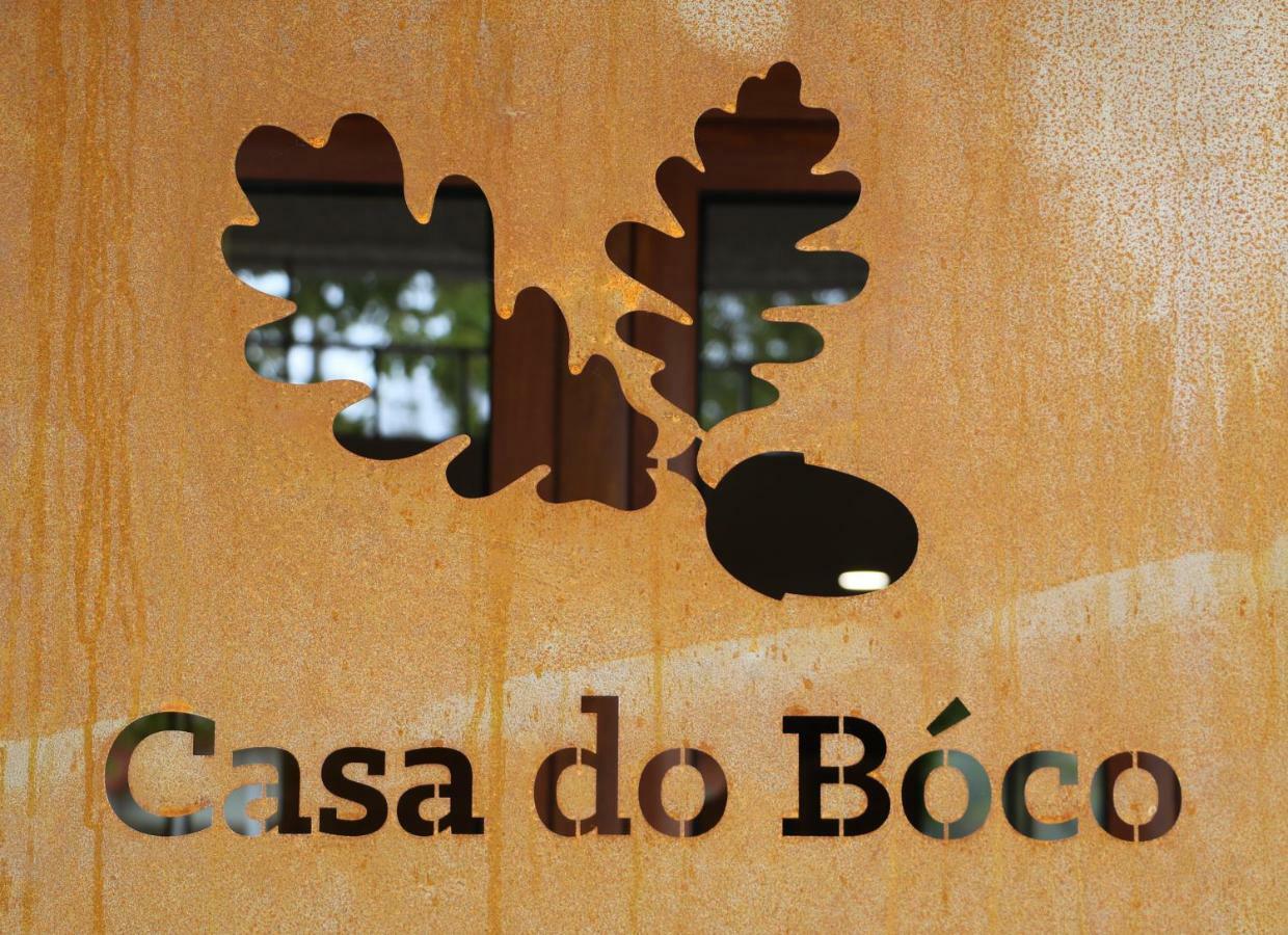 Вилла Casa Do Boco Оливейра-ду-Ошпитал Экстерьер фото